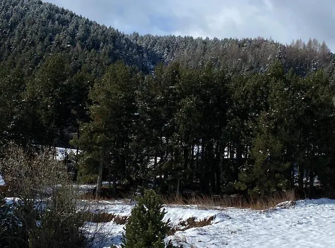 Au Pieds Des Pistes Le Cambre Aze Chalé Bolquere Pyrenees 2000